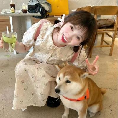 向阳花开